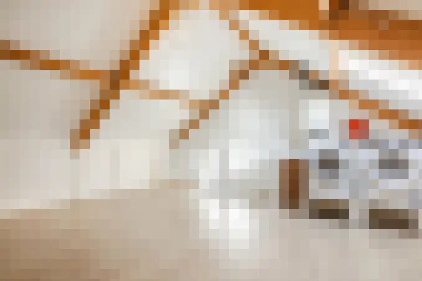 Spade 18 Vriezenveen thumbnail 30