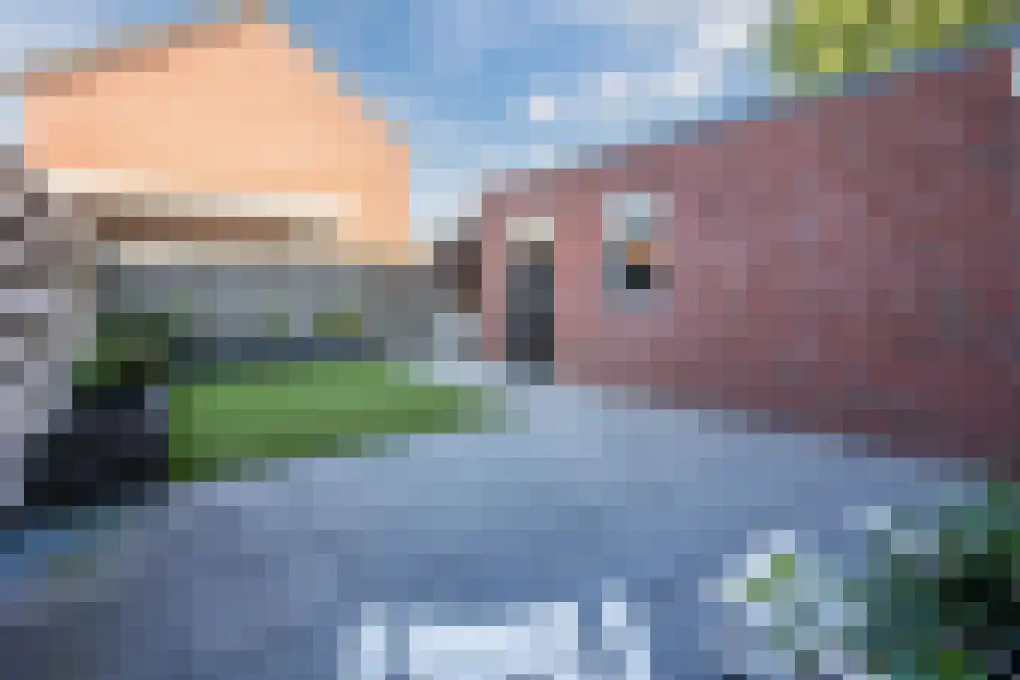 Spade 18 Vriezenveen thumbnail 5