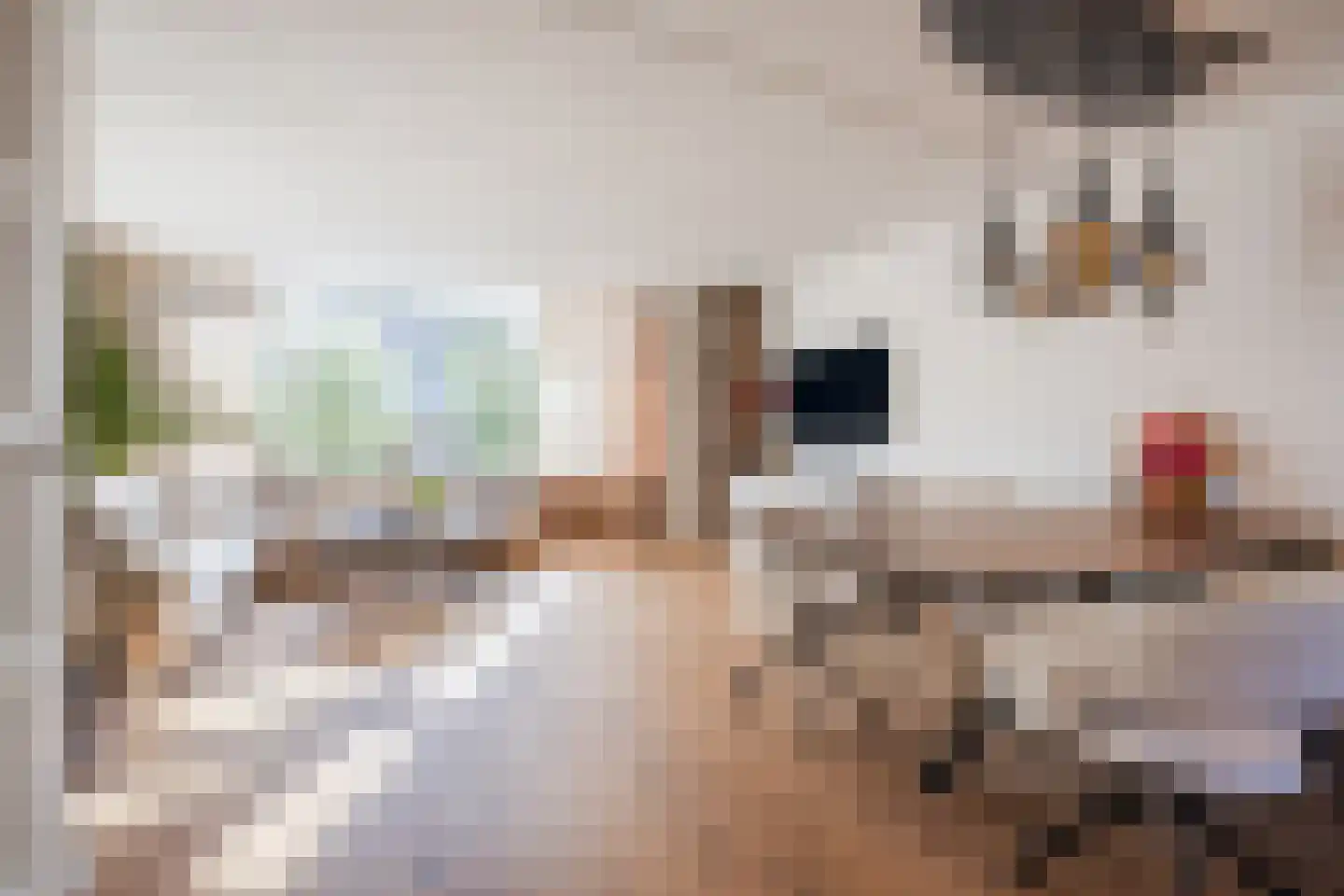 Spade 18 Vriezenveen thumbnail 8