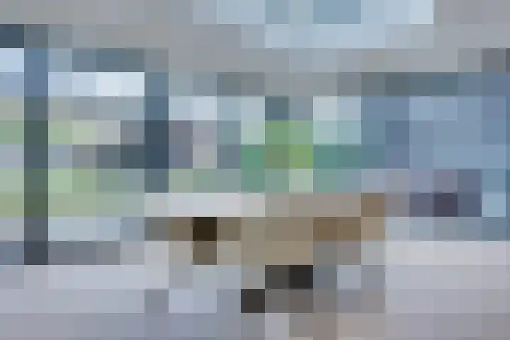 Spade 19 's-Hertogenbosch thumbnail 10