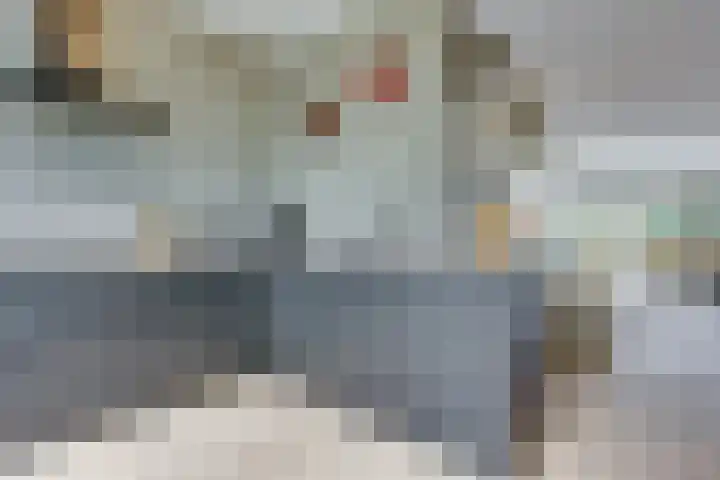 Spade 19 's-Hertogenbosch thumbnail 12