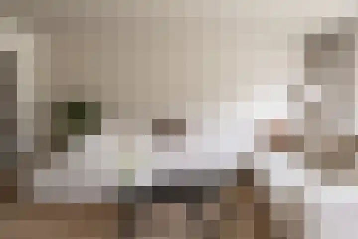 Spade 22 Vriezenveen thumbnail 10