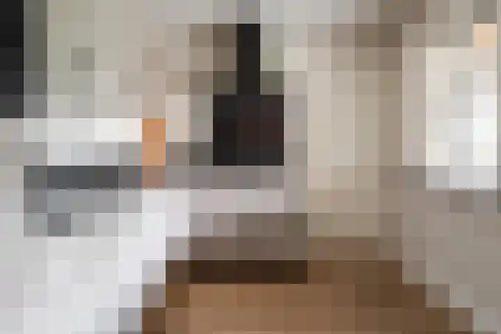 Spade 22 Vriezenveen thumbnail 17