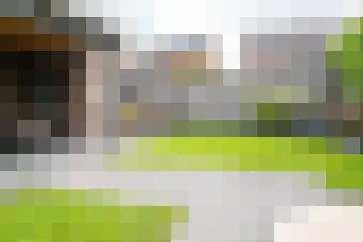 Spade 22 Vriezenveen thumbnail 36