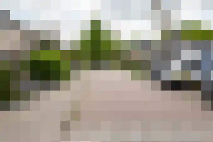 Spade 22 Vriezenveen thumbnail 39