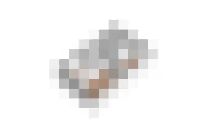Spade 22 Vriezenveen thumbnail 52