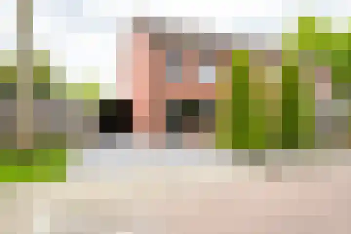 Spade 22 Vriezenveen thumbnail 55