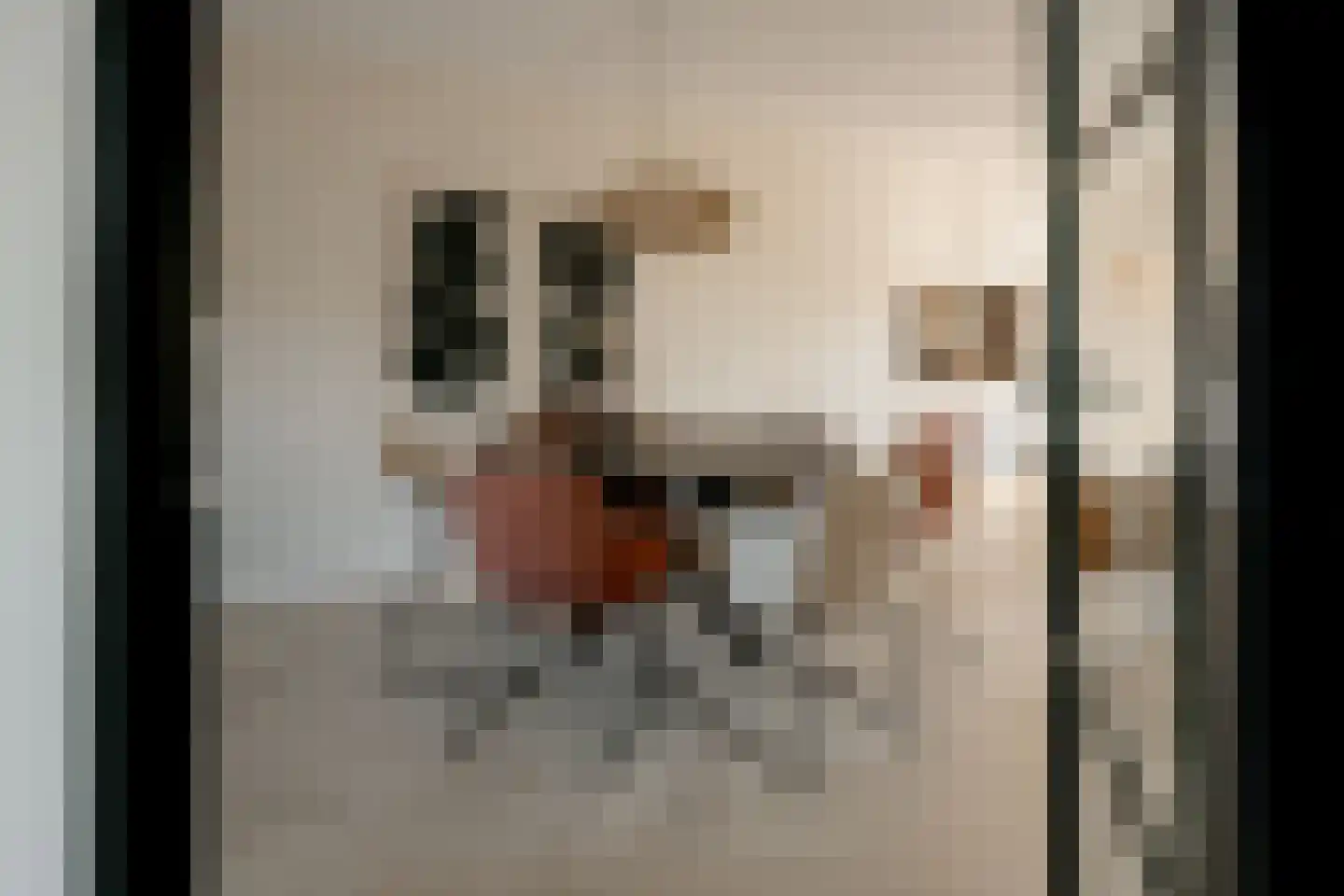 Spade 31 Vriezenveen thumbnail 11