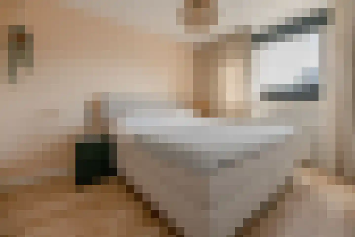 Spade 31 Vriezenveen thumbnail 19