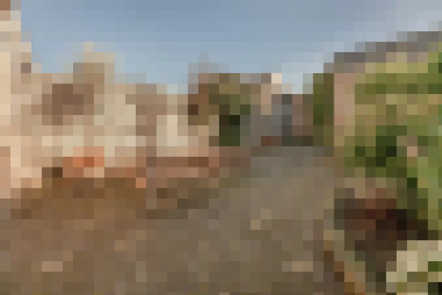 Spade 31 Vriezenveen thumbnail 27