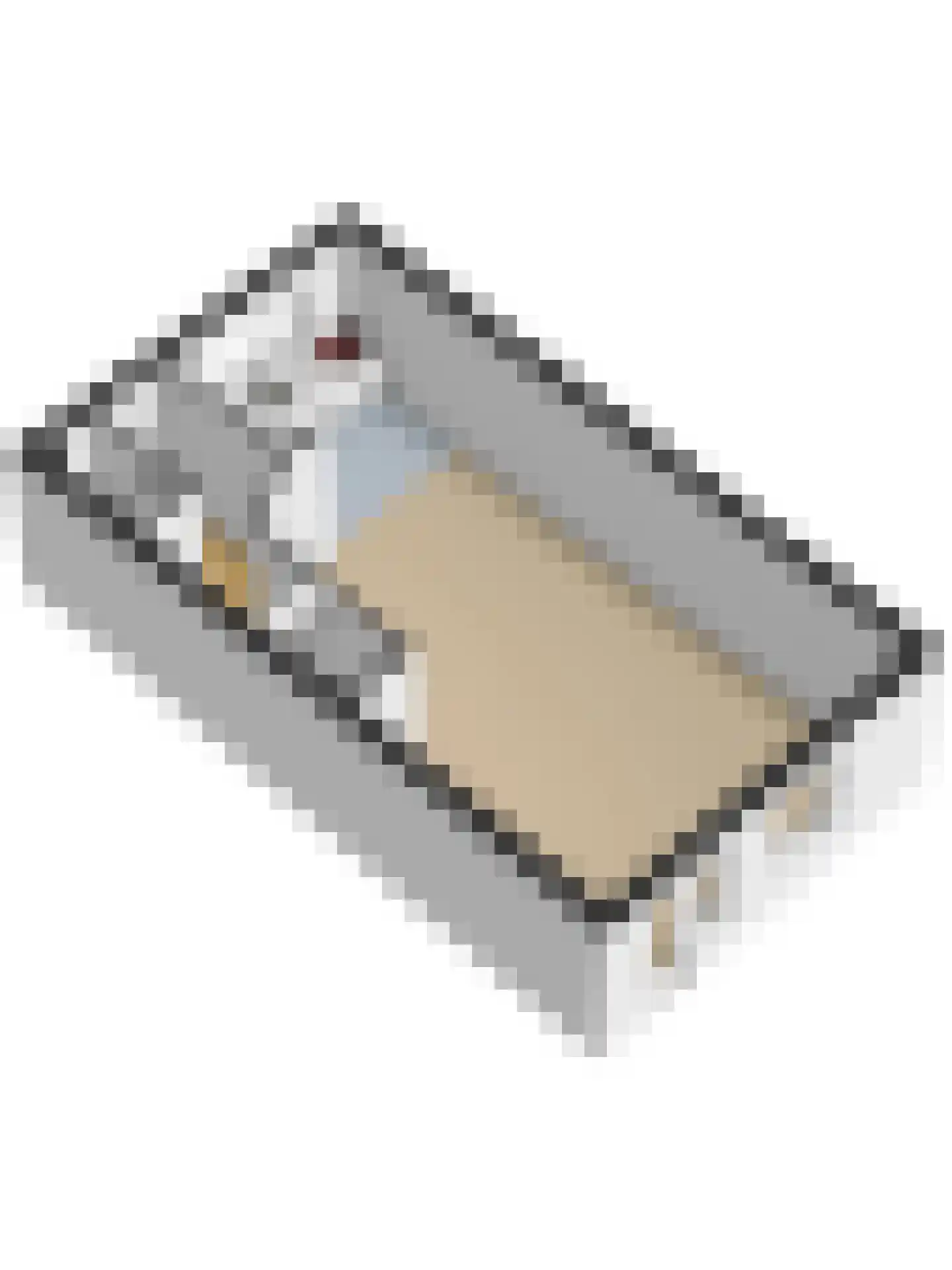 Spade 31 Vriezenveen thumbnail 30