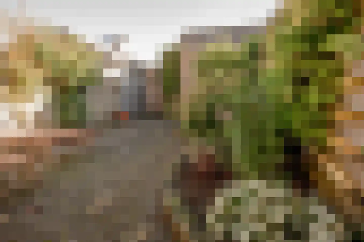 Spade 31 Vriezenveen thumbnail 6
