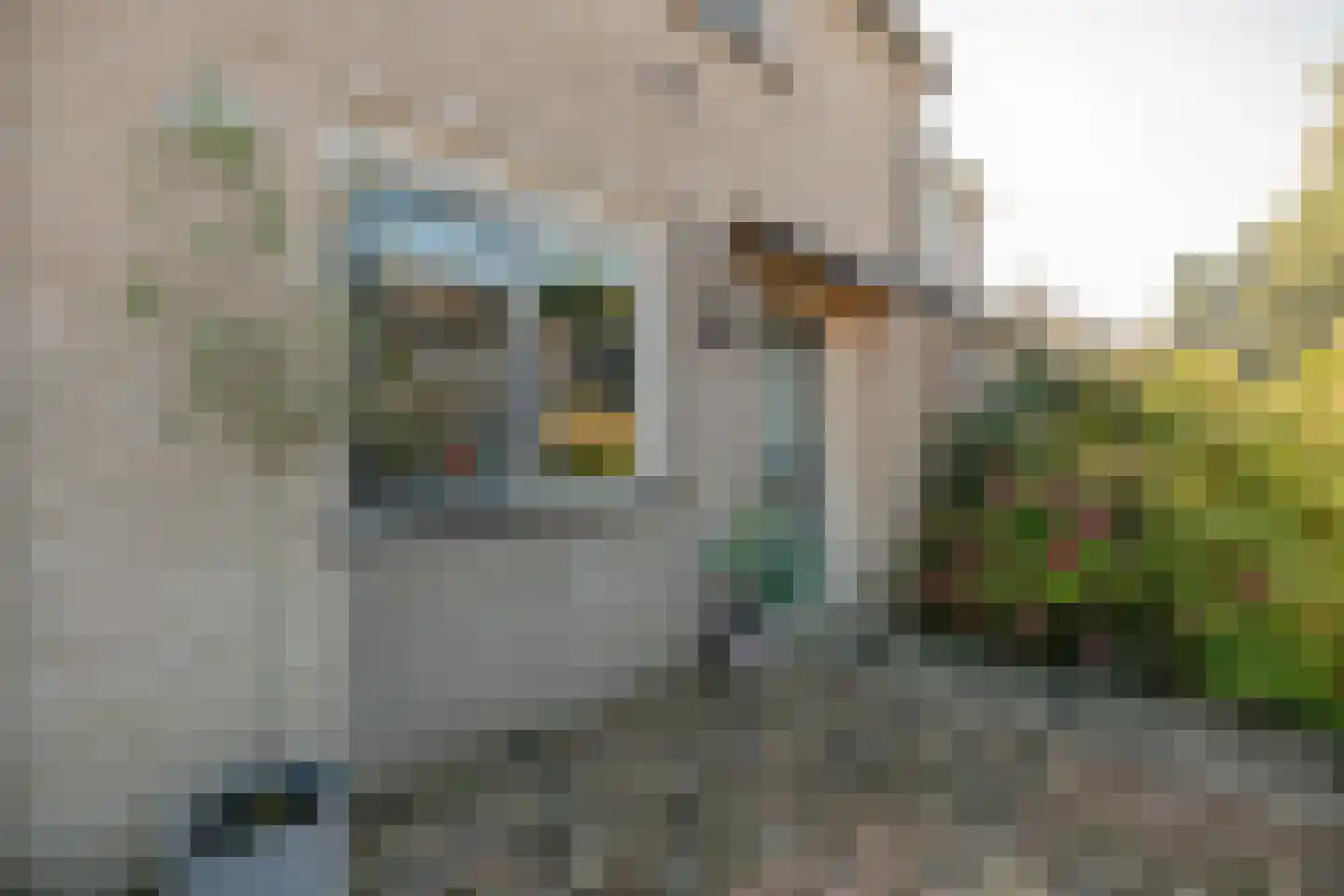 Spade 31 Vriezenveen thumbnail 8