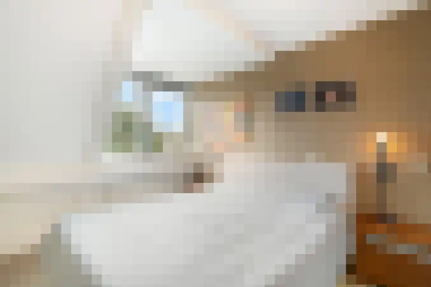 Spade 35 Wieringerwerf thumbnail 21