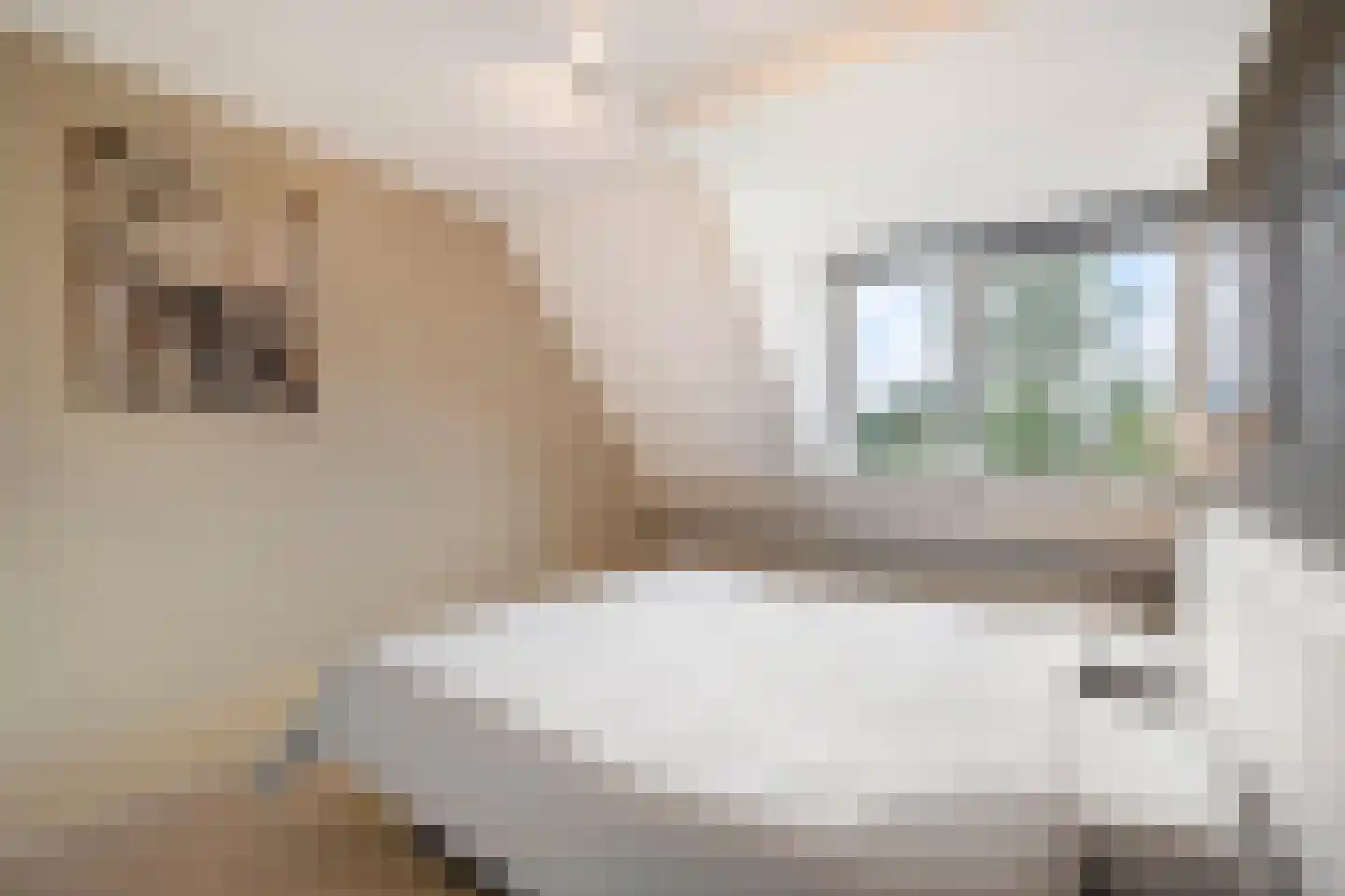 Spade 35 Wieringerwerf thumbnail 22