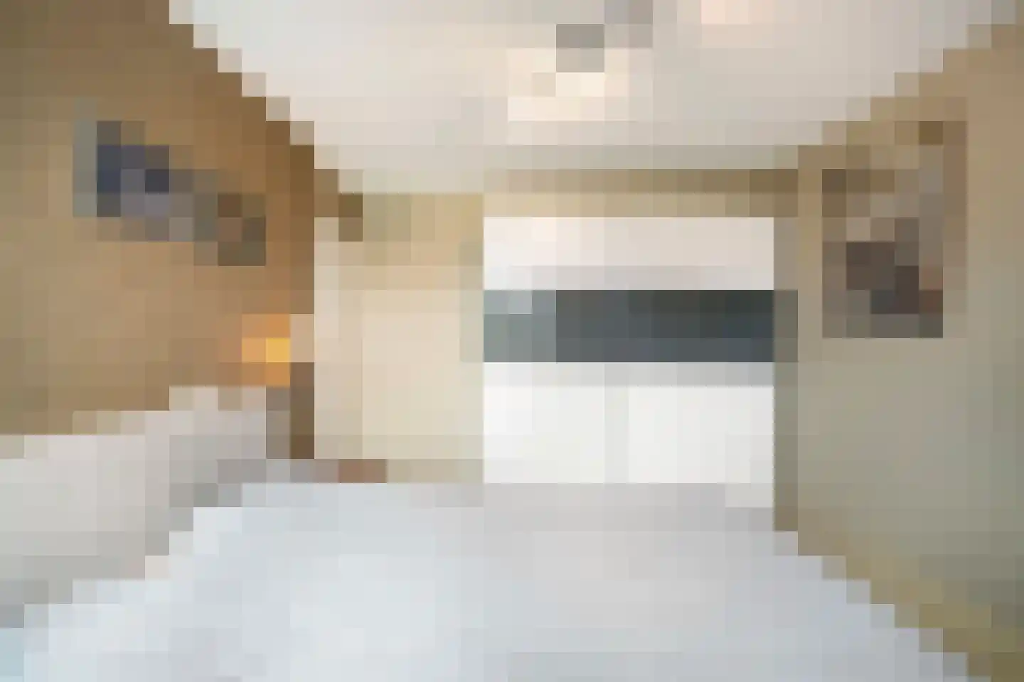 Spade 35 Wieringerwerf thumbnail 23