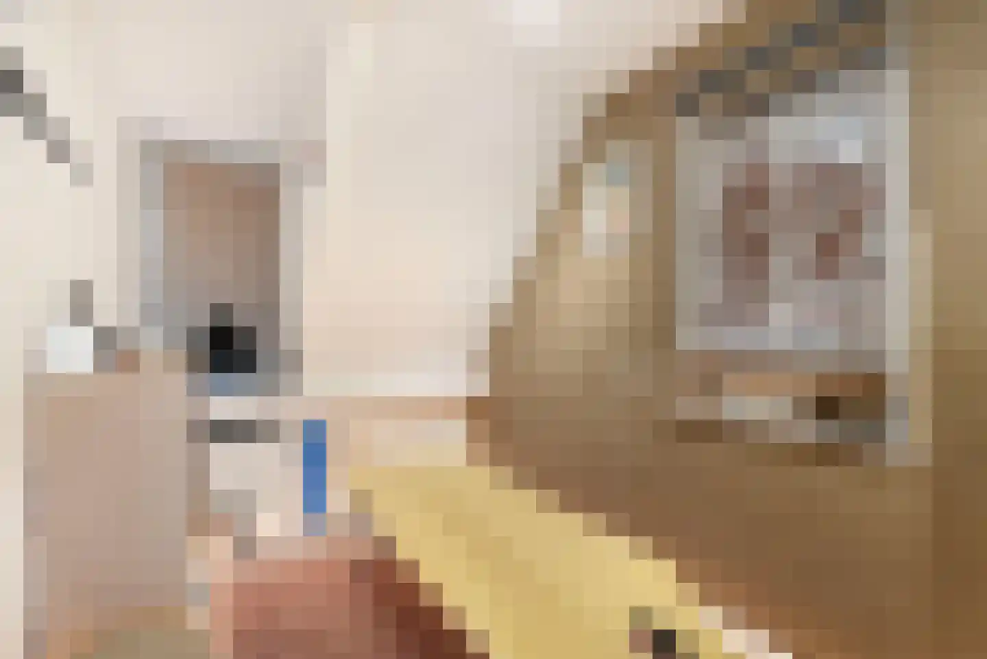 Spade 35 Wieringerwerf thumbnail 24