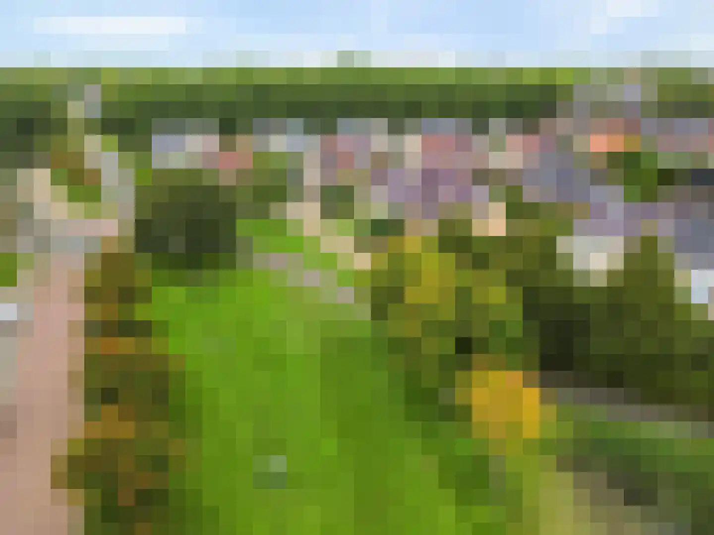 Spade 35 Wieringerwerf thumbnail 35