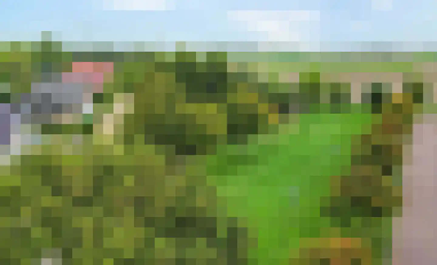 Spade 35 Wieringerwerf thumbnail 36