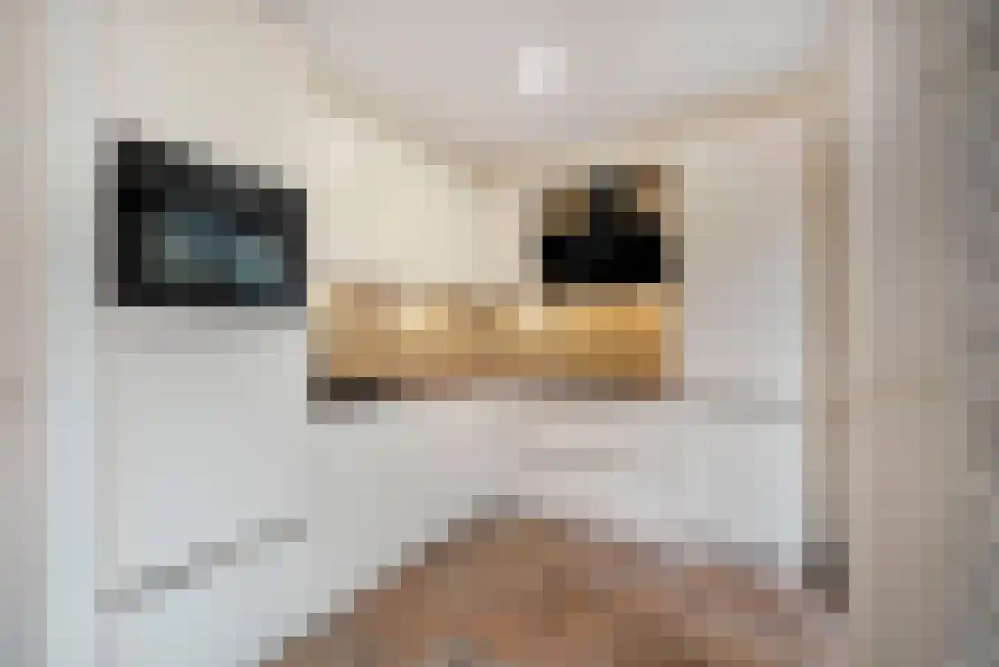 Spade 35 Wieringerwerf thumbnail 4