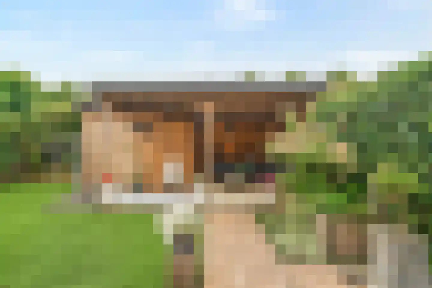 Spade 35 Wieringerwerf thumbnail 5