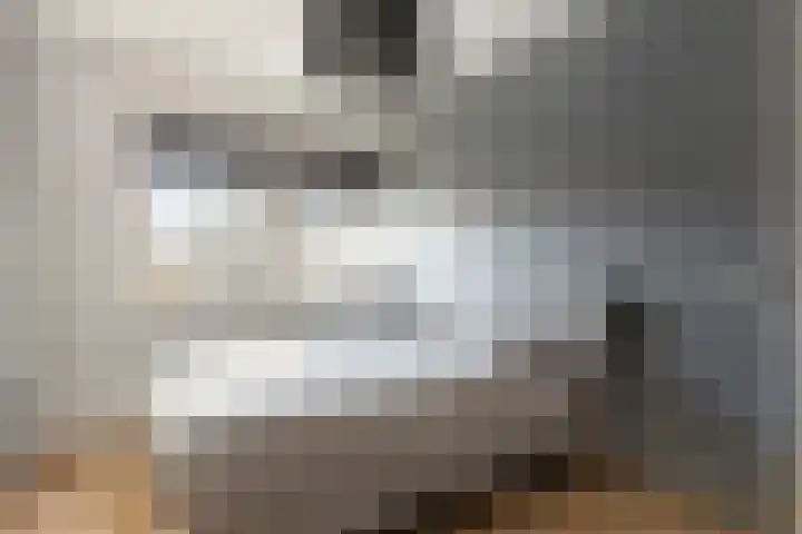 Spade 4 Wieringerwerf thumbnail 20