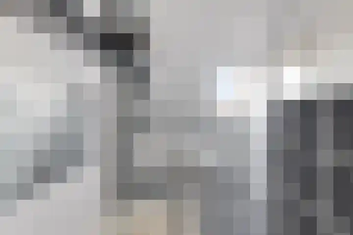 Spade 4 Wieringerwerf thumbnail 28