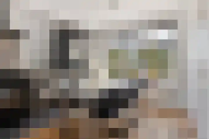 Spade 4 Wieringerwerf thumbnail 4