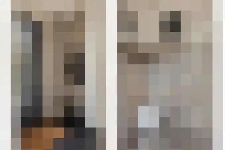 Spade 4 Wieringerwerf thumbnail 8