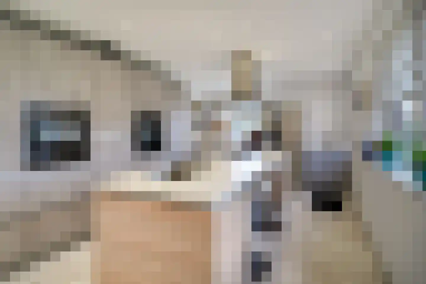 Spade 43 Wieringerwerf thumbnail 21