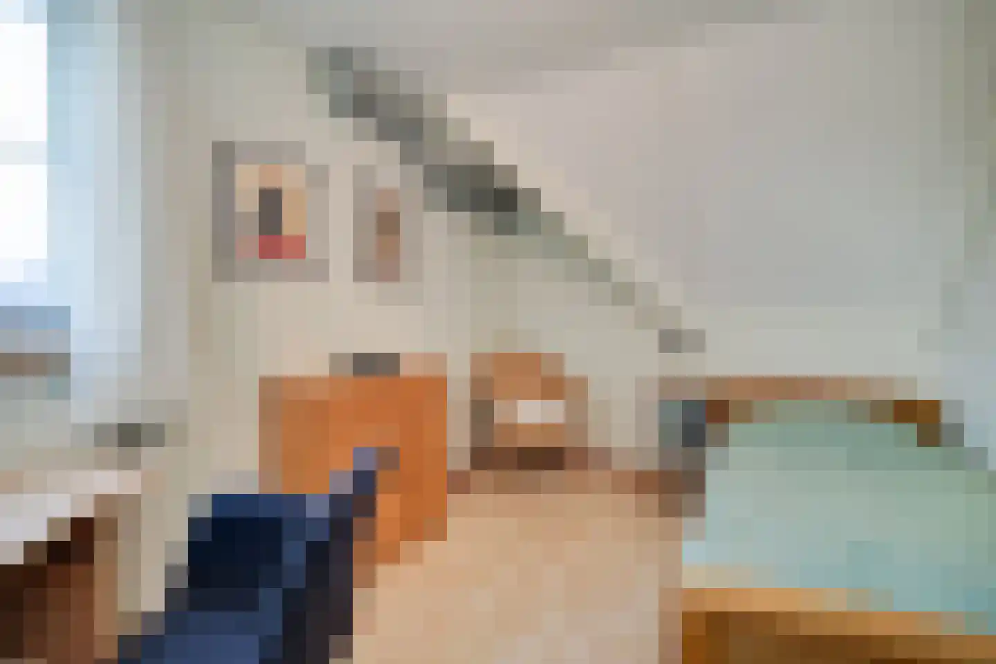Spade 43 Wieringerwerf thumbnail 35