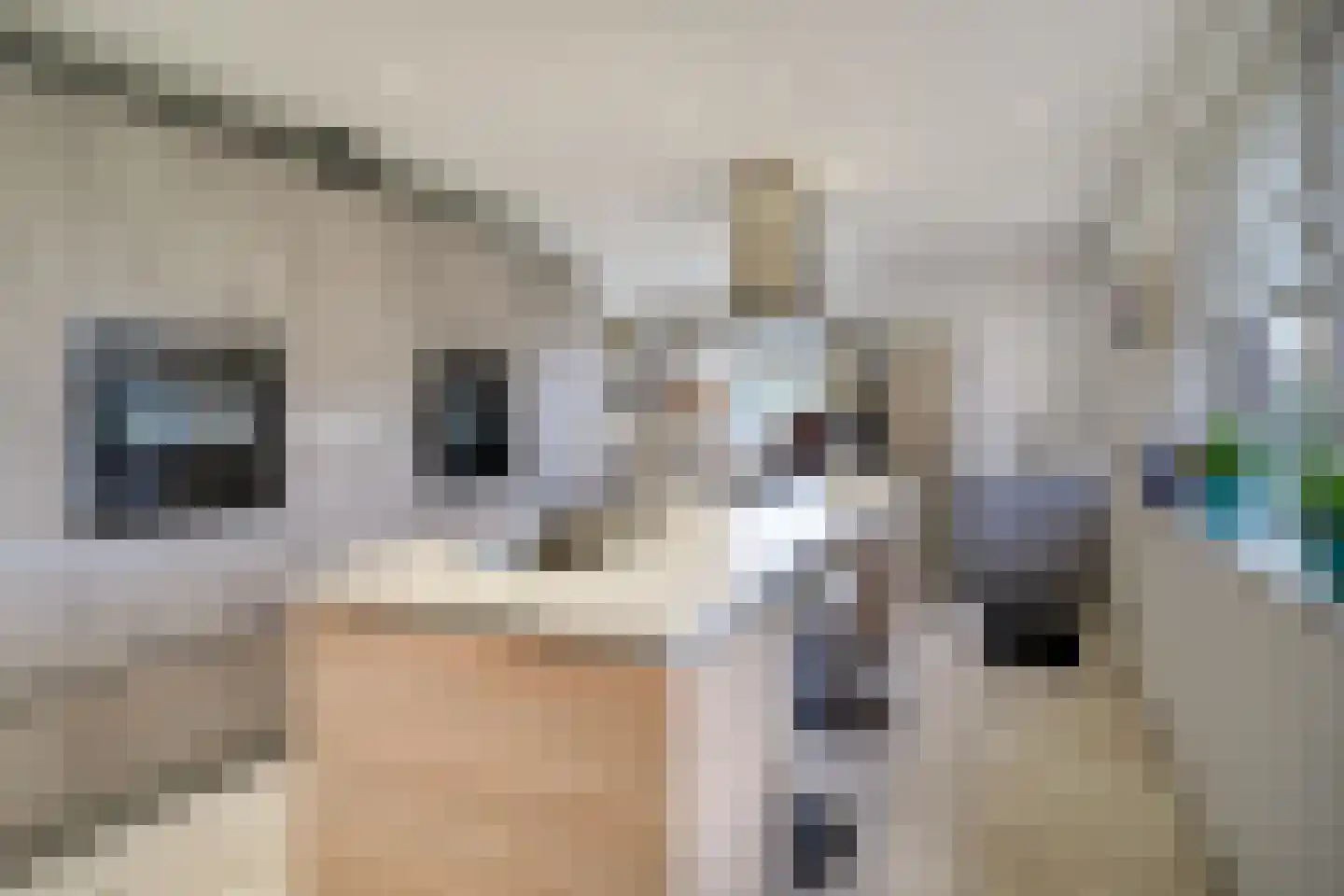 Spade 43 Wieringerwerf thumbnail 5