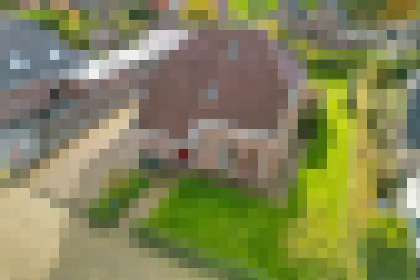 Spade 43 Wieringerwerf thumbnail 70