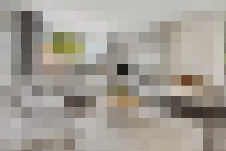 Spade 7 Voorthuizen thumbnail 10