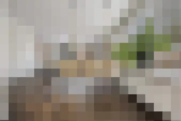 Spade 7 Voorthuizen thumbnail 15