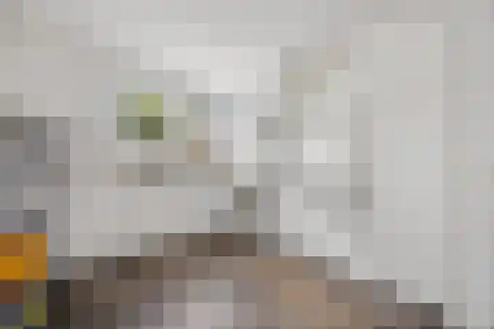 Spade 7 Voorthuizen thumbnail 17