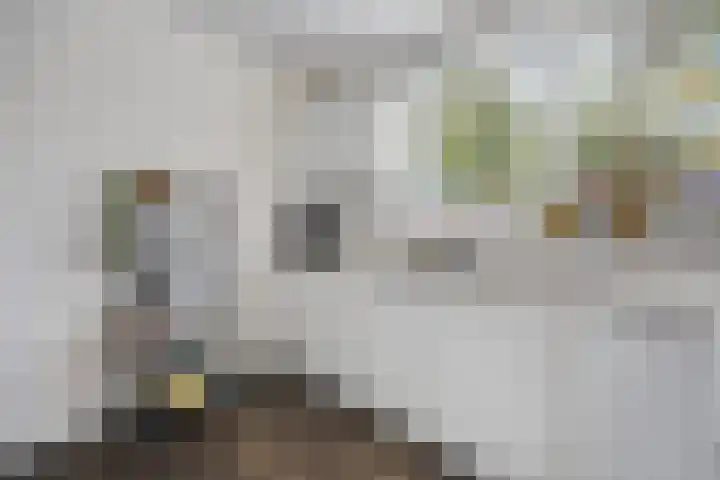 Spade 7 Voorthuizen thumbnail 18