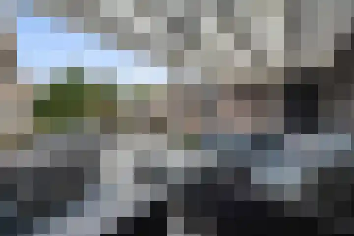 Spade 7 Voorthuizen foto 3