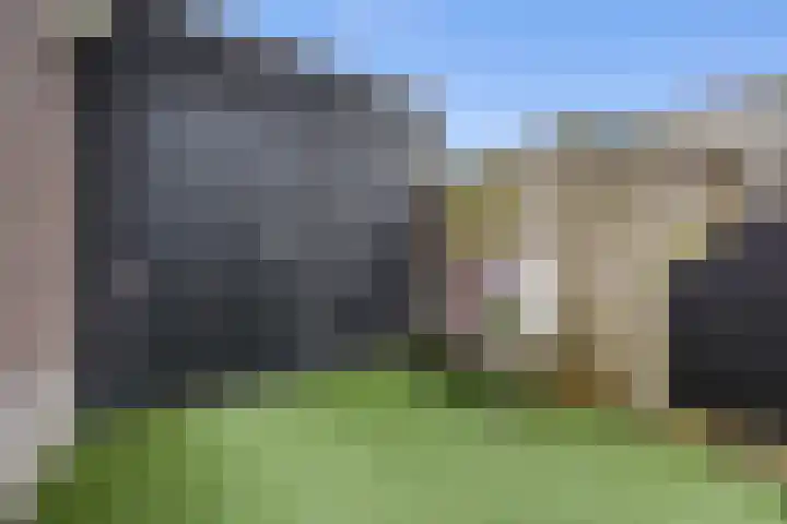 Spade 7 Voorthuizen thumbnail 40