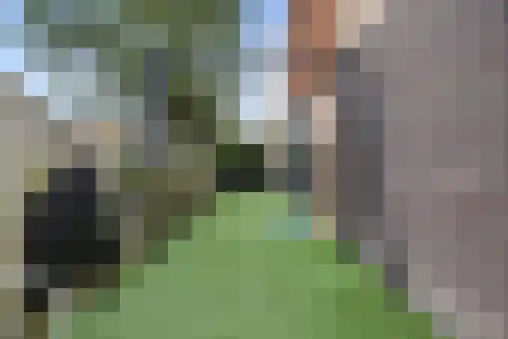Spade 7 Voorthuizen thumbnail 41