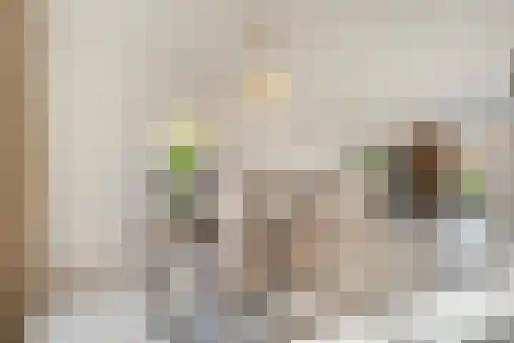Spade 8 Vriezenveen thumbnail 12