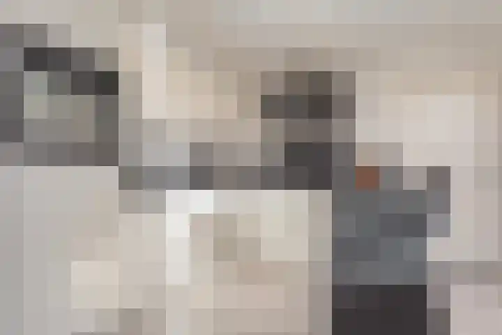 Spade 8 Vriezenveen thumbnail 14