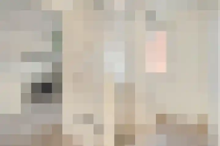 Spade 8 Vriezenveen thumbnail 18
