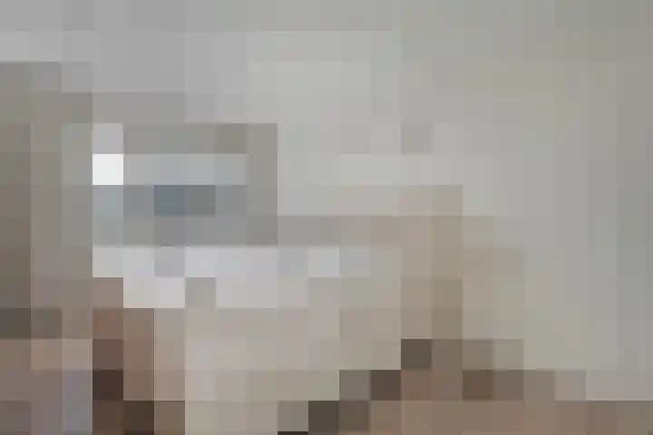 Spade 8 Vriezenveen thumbnail 20