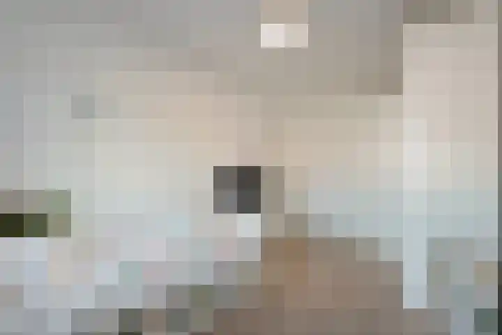 Spade 8 Vriezenveen thumbnail 25