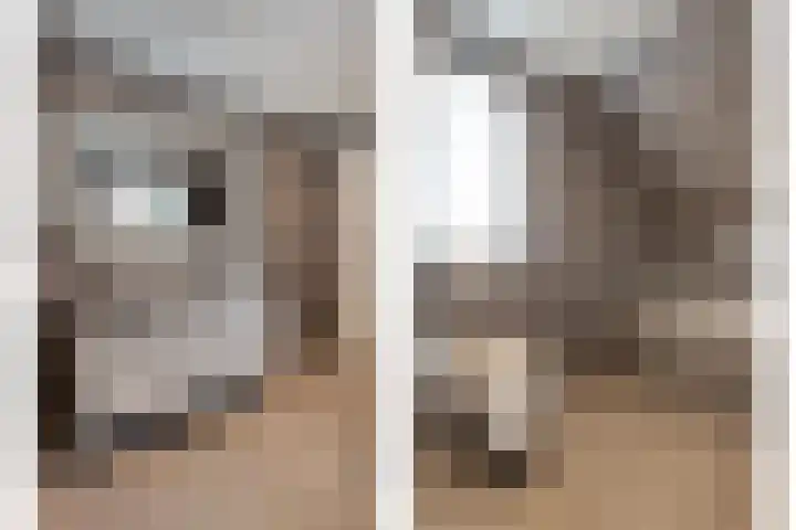 Spade 8 Vriezenveen thumbnail 27