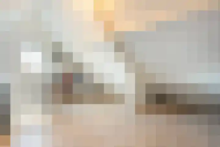 Spade 8 Vriezenveen thumbnail 28