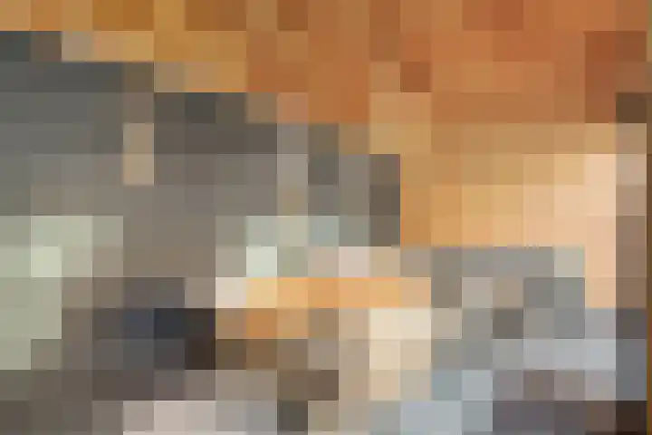 Spade 8 Vriezenveen thumbnail 29