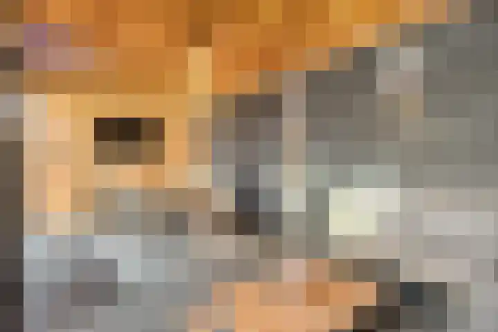 Spade 8 Vriezenveen thumbnail 30