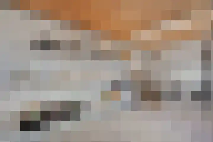 Spade 8 Vriezenveen thumbnail 33